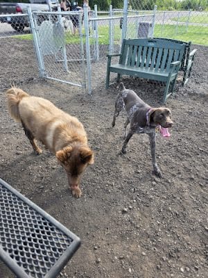 Jane Robbins Memorial Dog Park - Pine City, MN