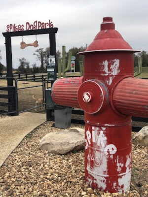 Dog Park