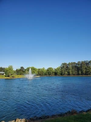Canine Commons Dog Park