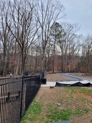 Canine Commons Dog Park