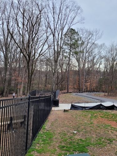 Canine Commons Dog Park