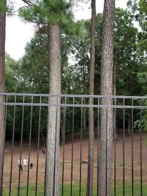 Canine Commons Dog Park
