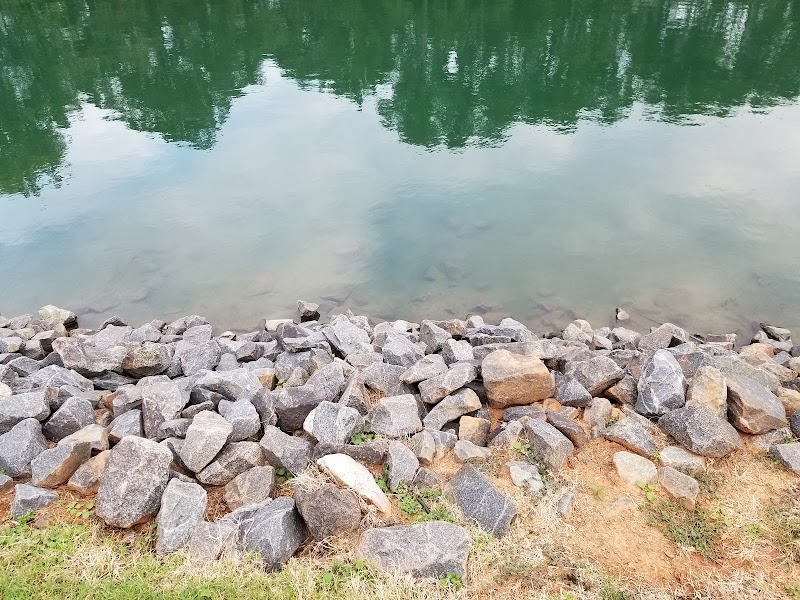 Canine Commons Dog Park - Pineville, NC