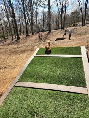 Canine Commons Dog Park