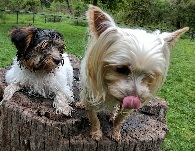 Pinole Valley Dog Park - Pinole, CA