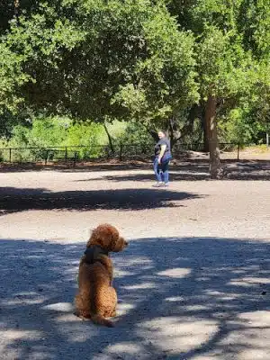 Pinole Valley Dog Park - Pinole, CA