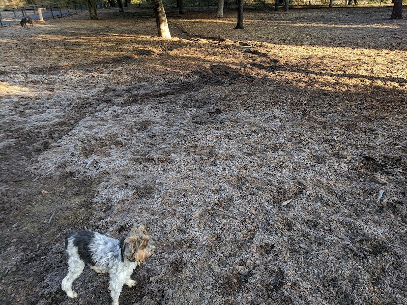 Pinole Valley Dog Park - Pinole, CA