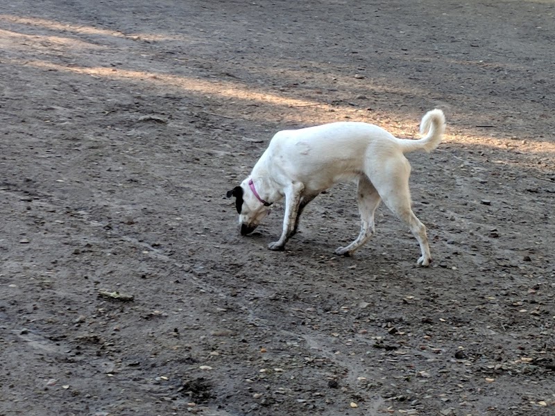 Pinole Valley Dog Park - Pinole, CA