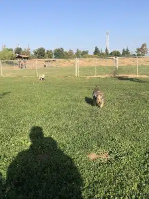 Highlands Ranch Dog Park