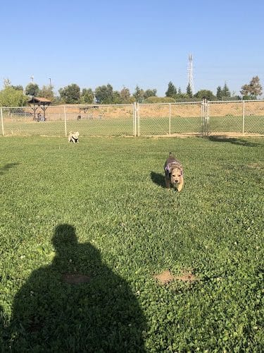 Highlands Ranch Dog Park