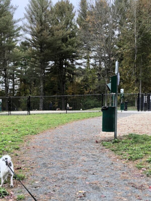 Pittsfield Dog Park