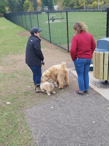 Pittsford Dog Park