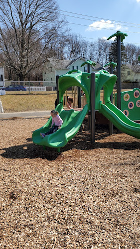 Lion's Park
