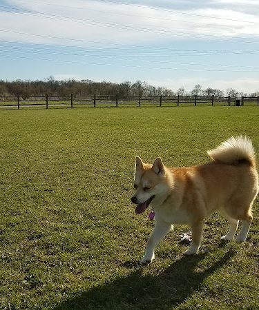 Clow Stephens Park