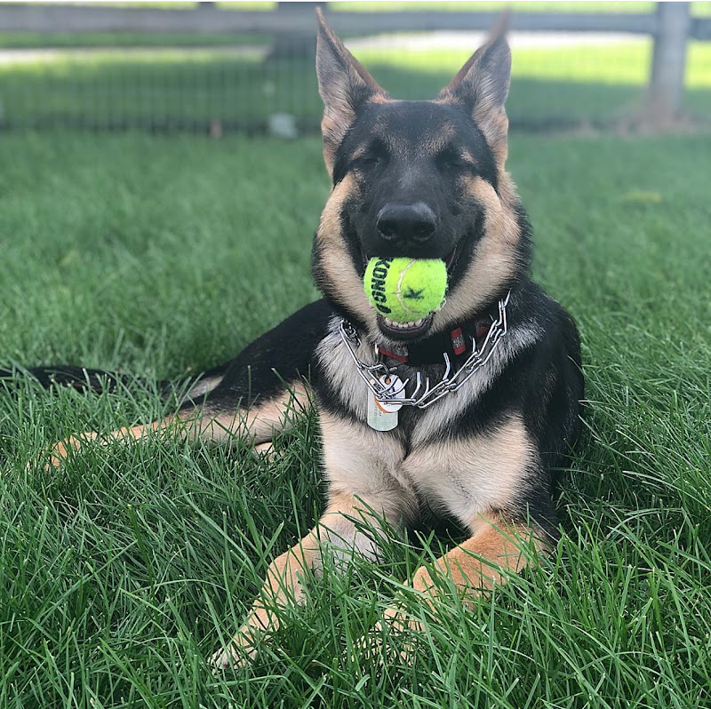 Daisy Dog Park - Plainfield, IL