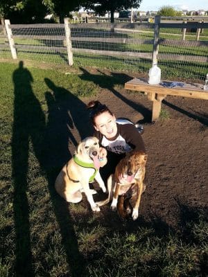 Daisy Dog Park