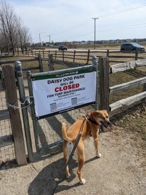 Daisy Dog Park