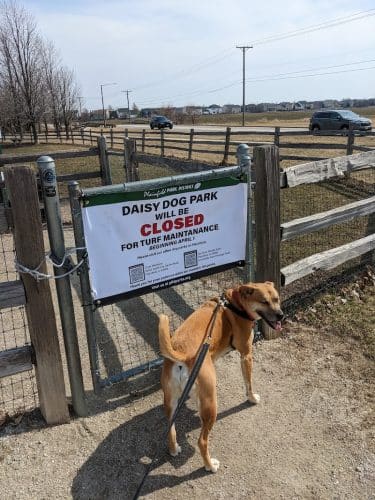 Daisy Dog Park