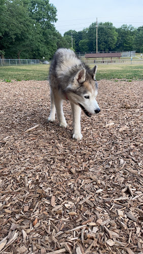 Plainwell Dog Park