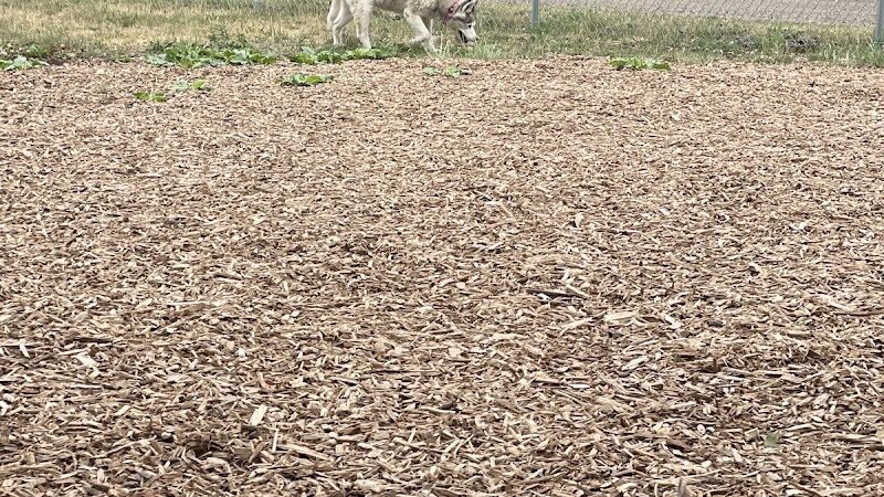 Plainwell Dog Park - Plainwell, MI