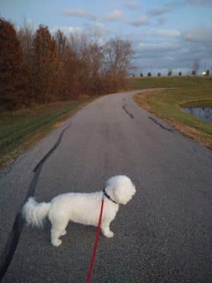 Platte Ridge Park
