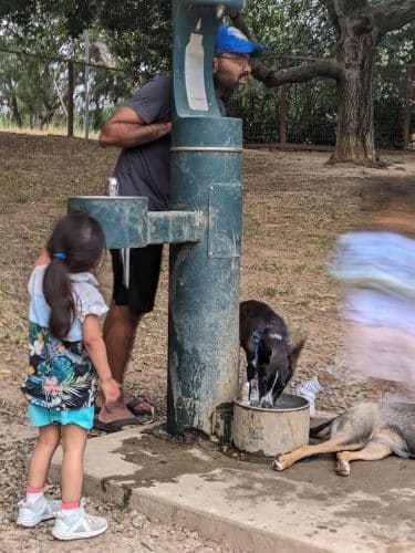 Paso Nogal Dog Park