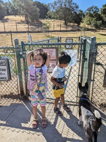 Paso Nogal Dog Park