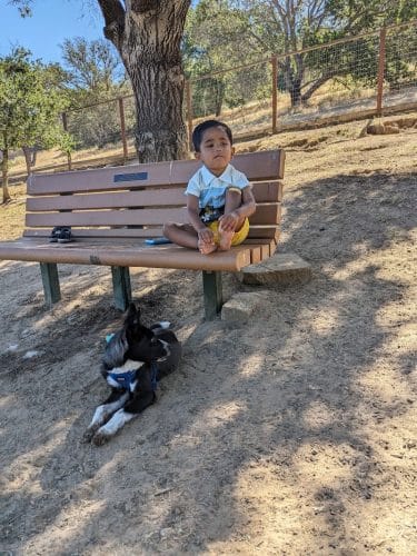 Paso Nogal Dog Park