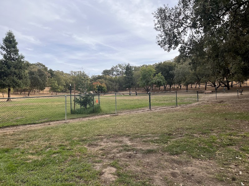 Paso Nogal Dog Park - Pleasant Hill, CA