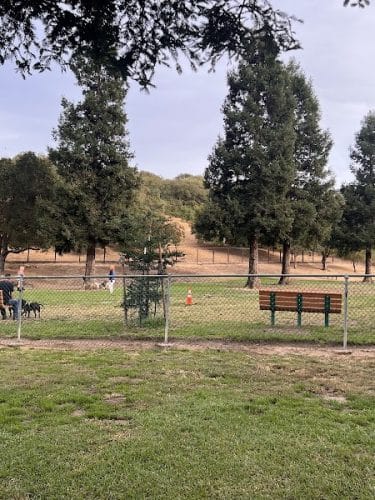Paso Nogal Dog Park