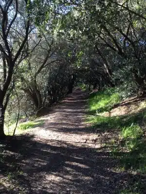 Paso Nogal Park