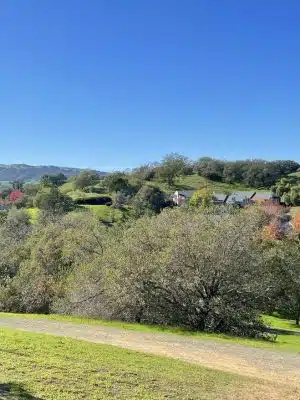 Paso Nogal Park