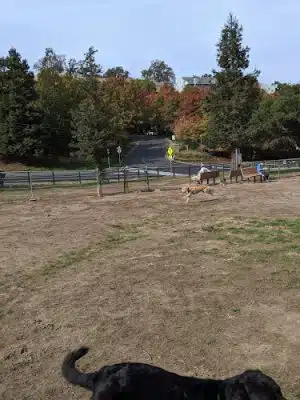 Paso Nogal Park
