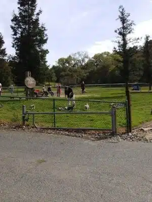 Paso Nogal Park