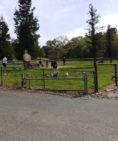 Paso Nogal Park