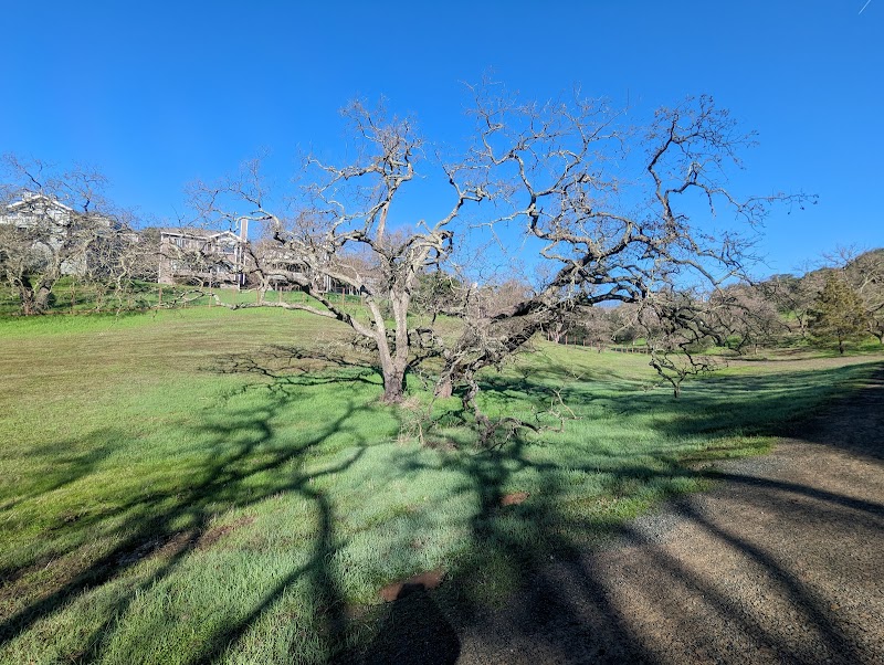 Paso Nogal Park - Pleasant Hill, CA