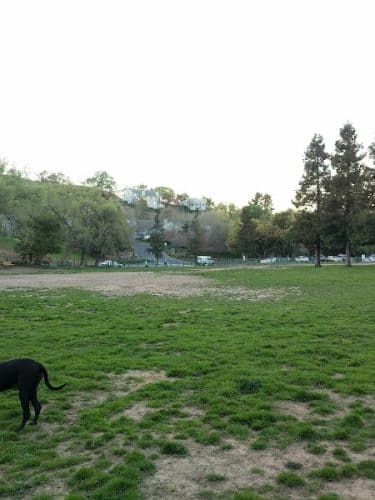 Paso Nogal Park