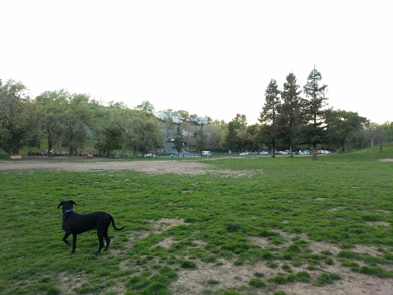 Paso Nogal Park - Pleasant Hill, CA
