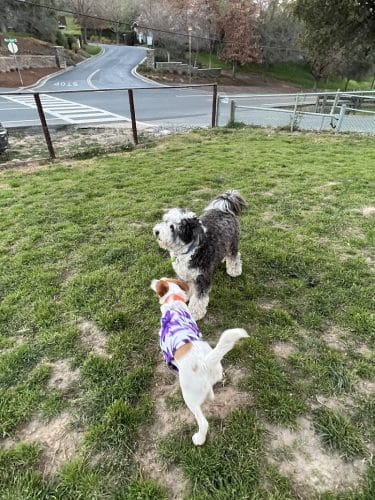 Paso Nogal Park