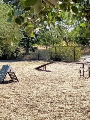 Cubby's Dog Park