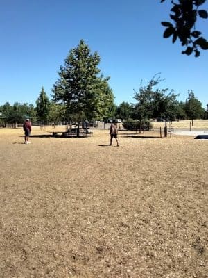 Cubby's Dog Park