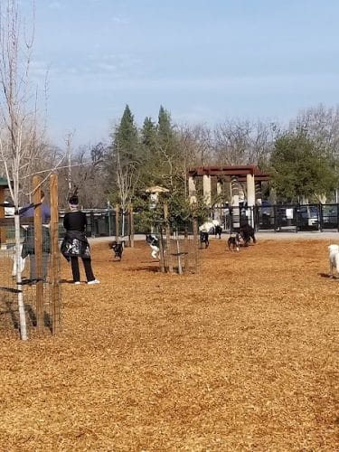 Cubby's Dog Park