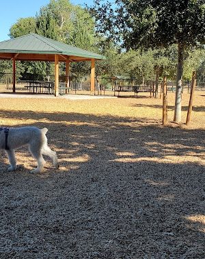 Cubby's Dog Park