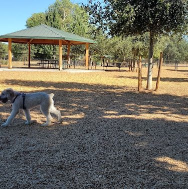 Cubby's Dog Park