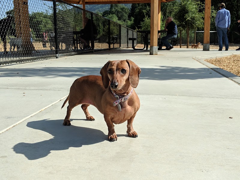 Cubby's Dog Park - Pleasanton, CA