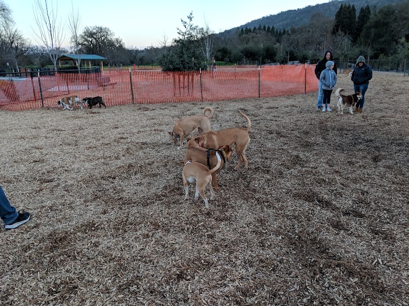 Cubby's Dog Park - Pleasanton, CA