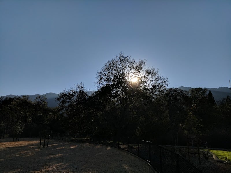 Cubby's Dog Park - Pleasanton, CA
