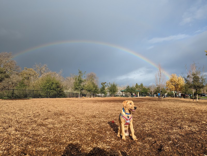 Cubby's Dog Park - Pleasanton, CA
