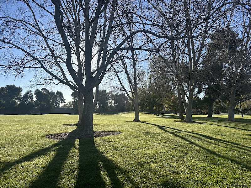Dog Park for smaller dogs - Pleasanton, CA