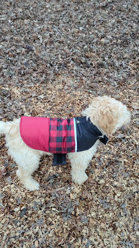 Dog Park for smaller dogs